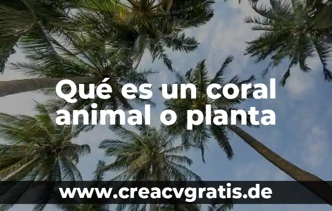 Tracción animal estacional que es 4 Qué es un coral animal o planta