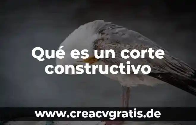 Qué es el pleno de la Suprema Corte de Justicia 8 Qué es un corte constructivo
