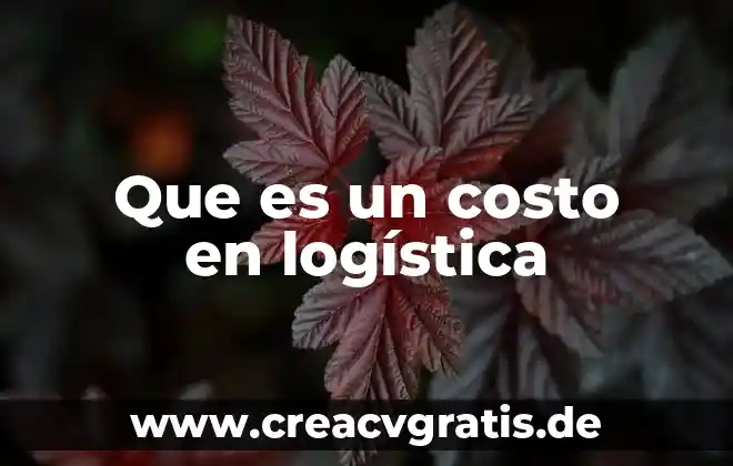 Que es costo de inventario ejemplo 4 Que es un costo en logística