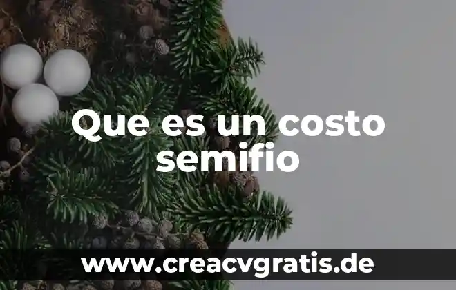 Qué es inclemente significado 5 Que es un costo semifio