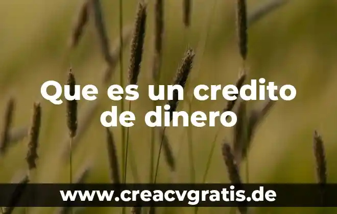 Que es una nita de credito 3 Que es un credito de dinero