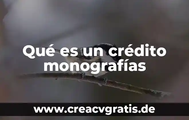 Que es un cuaderno de viaje y sus caracteristicas 8 Qué es un crédito monografías