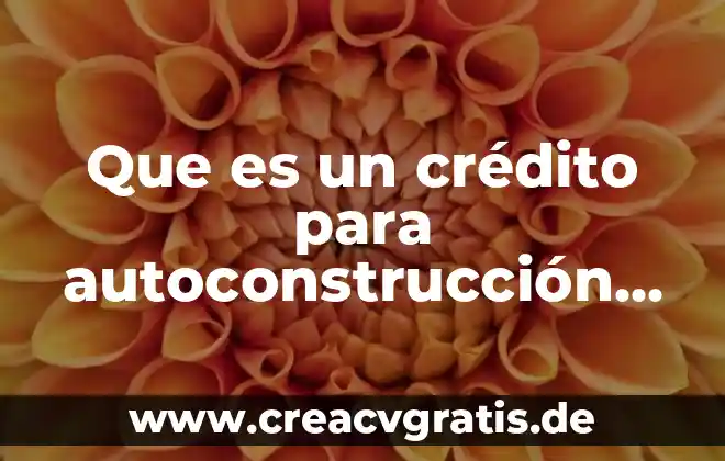 Que es un credito de dinero 6 Que es un crédito para autoconstrucción o autoproducción