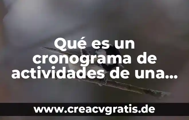 Que es un cronograma de diseño de proyecto 7 Qué es un cronograma de actividades de una tesis