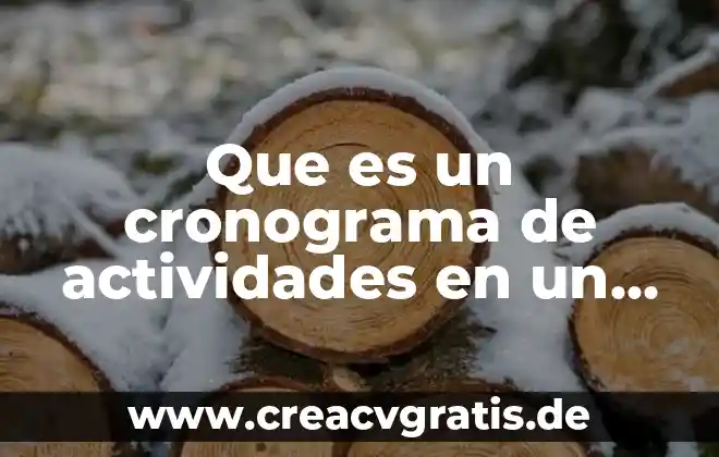 Que es un cronograma de diseño de proyecto 6 Que es un cronograma de actividades en un proyecto brainly