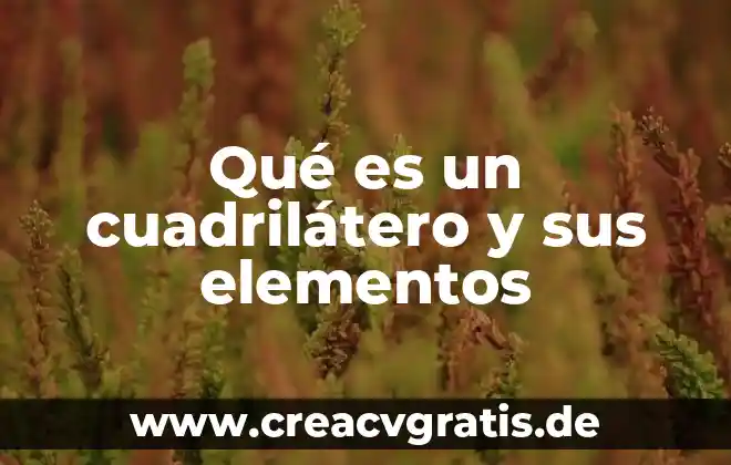Qué es una gráfica, tipos, elementos y para qué sirve 6 Qué es un cuadrilátero y sus elementos