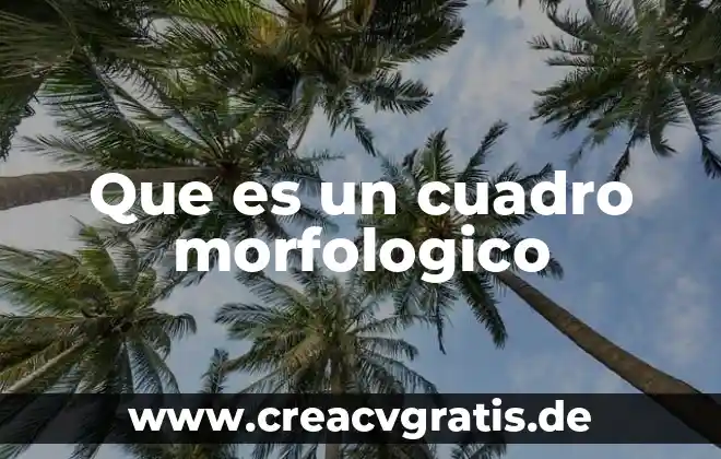 Que es ser apasionado en el trabajo 8 Que es un cuadro morfologico