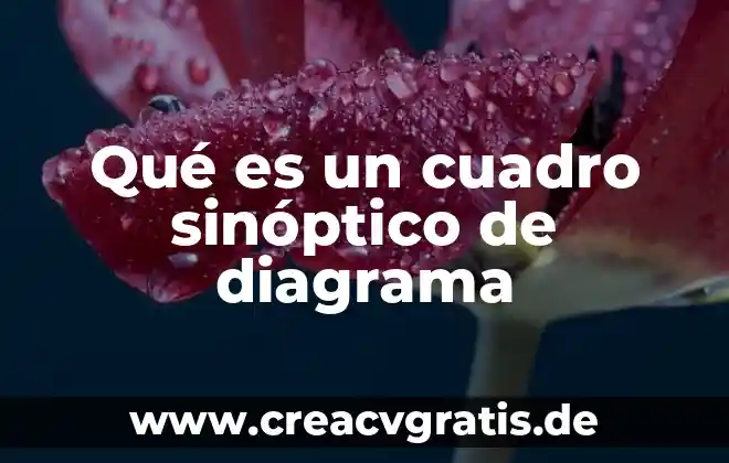 Qué es un cuadro sinóptico sobre informática 8 Qué es un cuadro sinóptico de diagrama