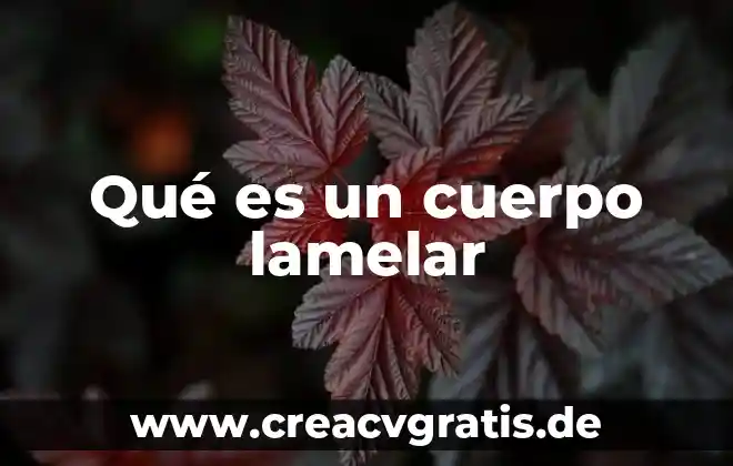 Qué es el fuego del sol 6 Qué es un cuerpo lamelar