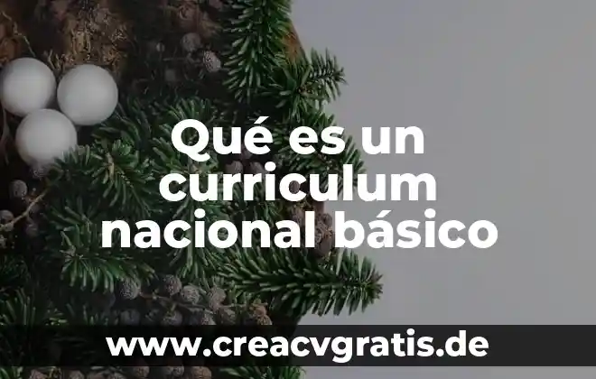 Que es el curriculum en lo educativo 4 Qué es un curriculum nacional básico