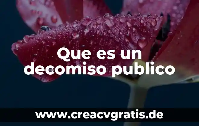 Que es individual en publico meta 5 Que es un decomiso publico