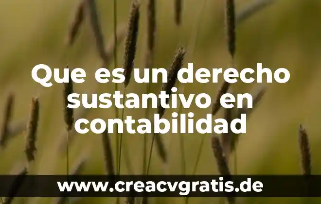 Que es somero en derecho 5 Que es un derecho sustantivo en contabilidad