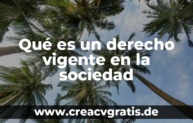 Por qué es complejo el derecho administrativo 7 Qué es un derecho vigente en la sociedad