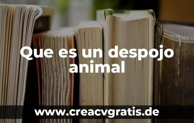Qué es una interfaz en sistemas operativos 8 Que es un despojo animal