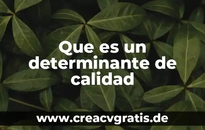 Administracion que es calidad 3 Que es un determinante de calidad