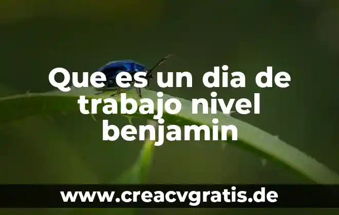 Que es un banco de sangre y su organizacion 3 Que es un dia de trabajo nivel benjamin