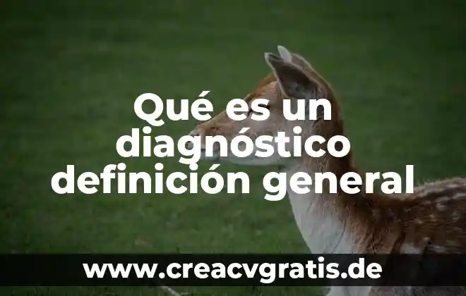 Qué es el sentido común 8 Qué es un diagnóstico definición general