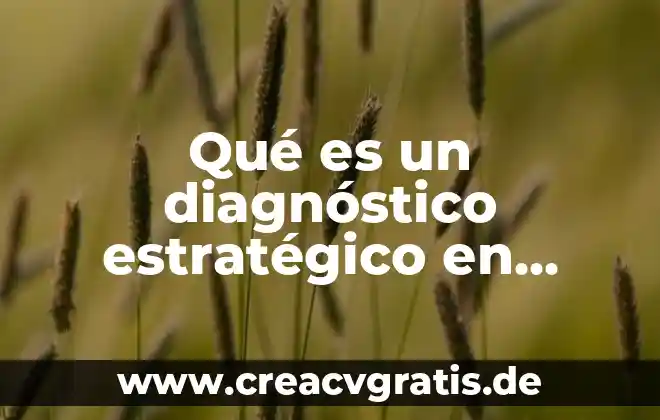 Qué es la atención de enfermería a pacientes psiquiátricos 3 Qué es un diagnóstico estratégico en enfermeria