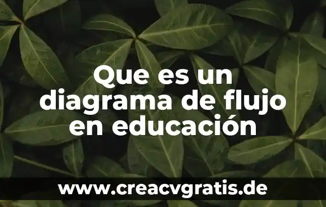 Que es un diagrama sistema nervioso 3 Que es un diagrama de flujo en educación