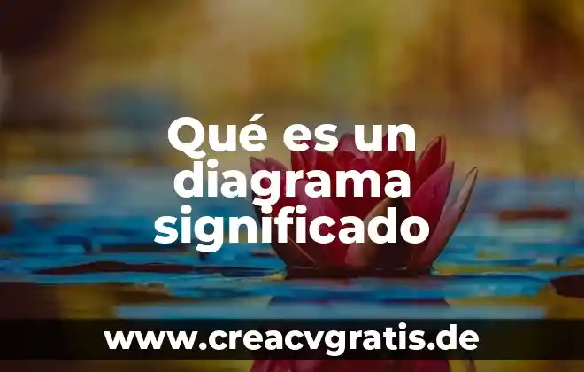 Que es un diagrama de venus 6 Qué es un diagrama significado