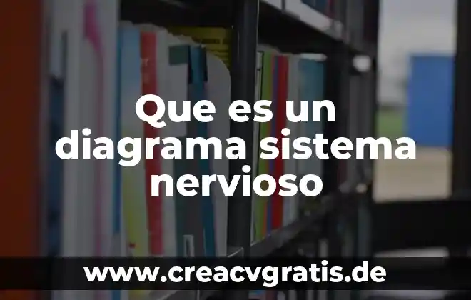 Que es un diagrama de flujo en educación 4 Que es un diagrama sistema nervioso