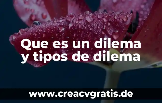 Qué es el dilema ético explicación 5 Que es un dilema y tipos de dilema