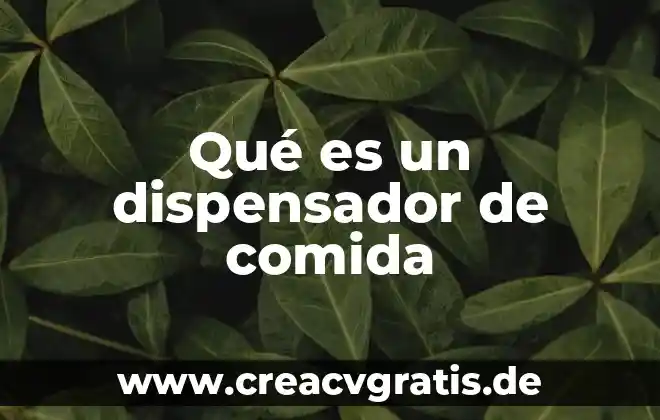 Que es la palabra boga 4 Qué es un dispensador de comida