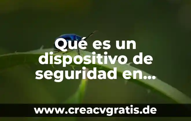 Que es seguridad significado 5 Qué es un dispositivo de seguridad en informática