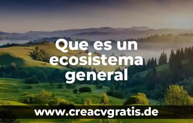 Que es un esquema general de conexiones 3 Que es un ecosistema general