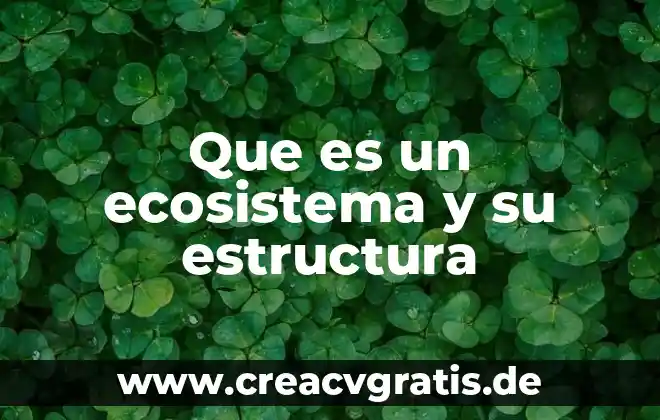 Qué es un problema y su estructura 7 Que es un ecosistema y su estructura
