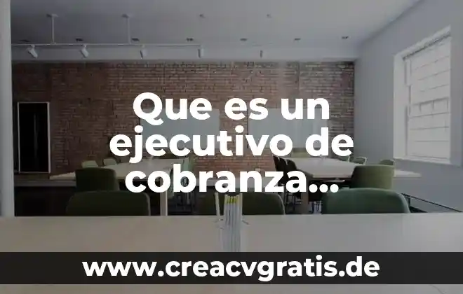 Que es un resumen ejecutivo de un erp 5 Que es un ejecutivo de cobranza informativa