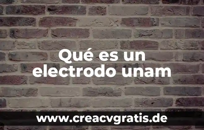 Que es el numero de dni mexico 5 Qué es un electrodo unam