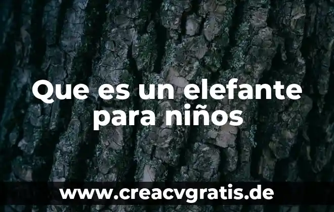 Tipo de planta que es la pata de elefante 4 Que es un elefante para niños