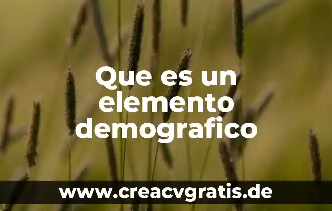 Que es el musulmanismo y sus tipos 5 Que es un elemento demografico