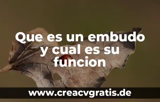 Que es el chocolate y cual es su proceso 7 Que es un embudo y cual es su funcion