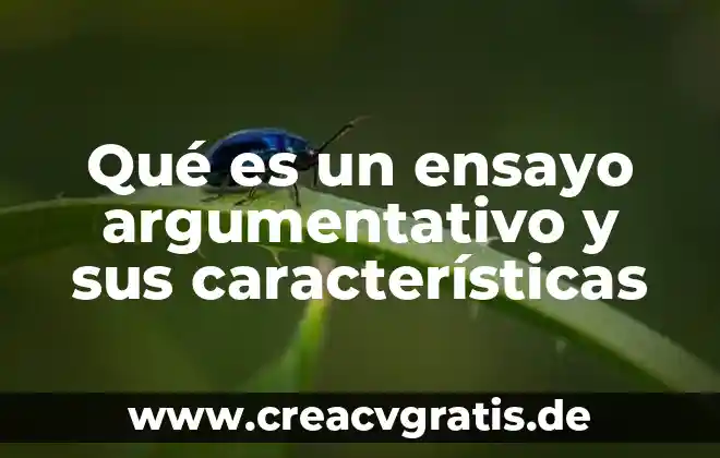 Qué es la antítesis en un texto argumentativo 6 Qué es un ensayo argumentativo y sus características