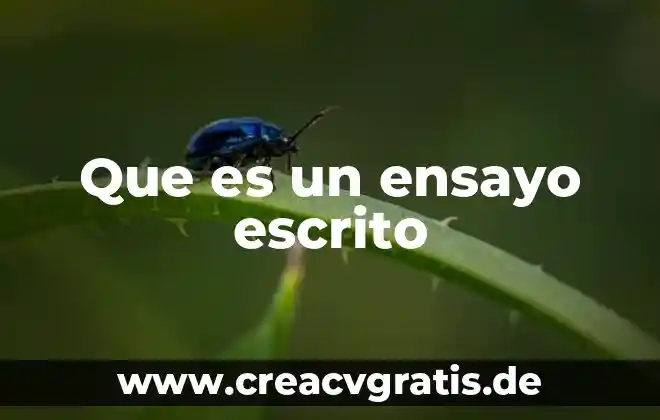 Que es un escrito en prosa caracteristicas 4 Que es un ensayo escrito