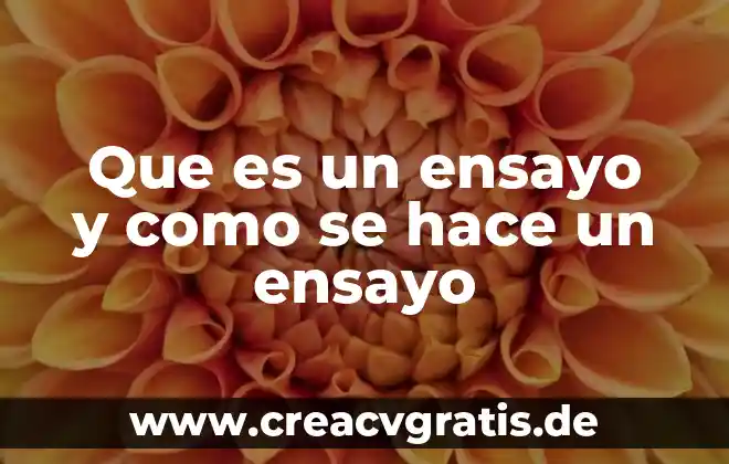 Obturación que es sistemas de visión 7 Que es un ensayo y como se hace un ensayo