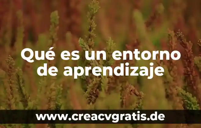 Qué es entorno reducido en límite definición informal 5 Qué es un entorno de aprendizaje