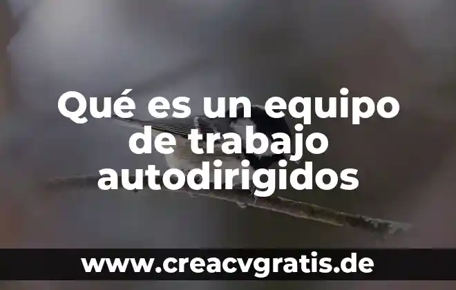 Qué es un equipo forrajero significado 4 Qué es un equipo de trabajo autodirigidos
