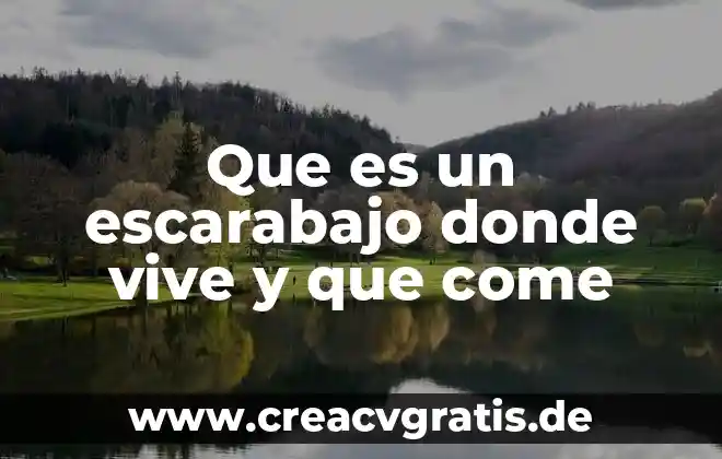 Que es un lirón donde vive y que come 4 Que es un escarabajo donde vive y que come