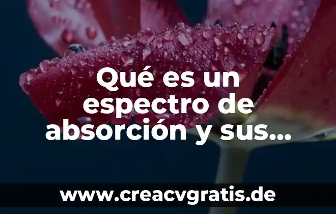Qué es email en aplicaciones del sistema 4 Qué es un espectro de absorción y sus aplicaciones