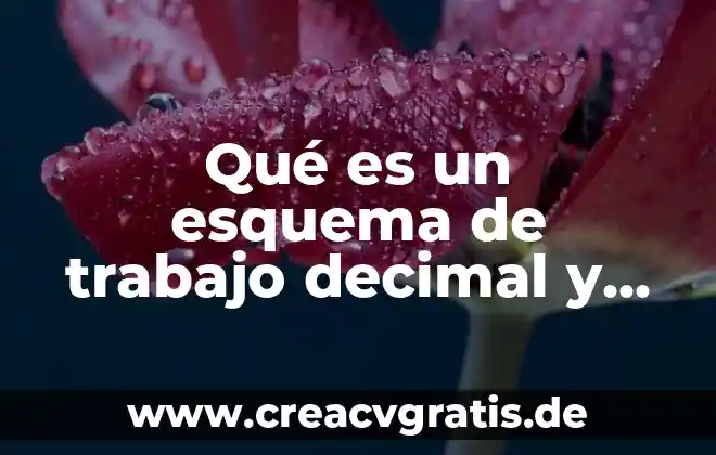 Qué es un número decimal 7 Qué es un esquema de trabajo decimal y convencional