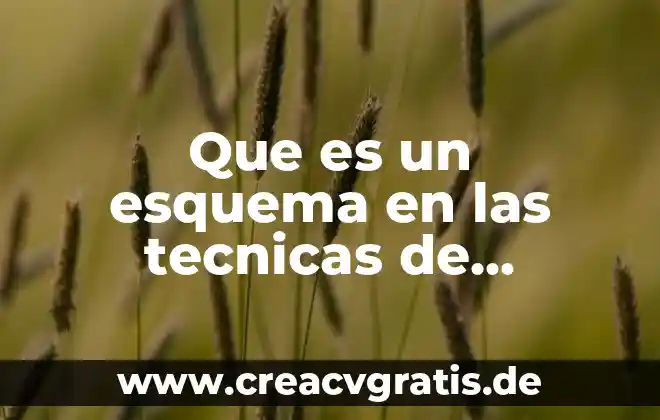 Que es el estudio clinico cepre 3 Que es un esquema en las tecnicas de estudio