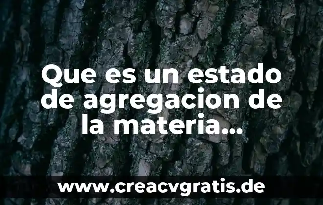 Qué es subestimar definición 3 Que es un estado de agregacion de la materia definicion