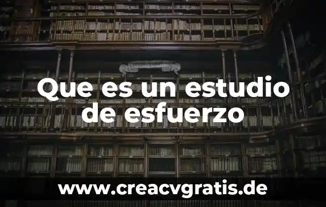 Qué es el concepto canon 7 Que es un estudio de esfuerzo