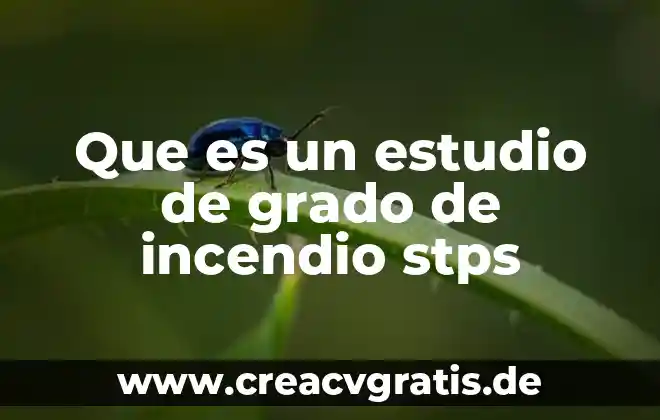Que es un esquema en las tecnicas de estudio 8 Que es un estudio de grado de incendio stps