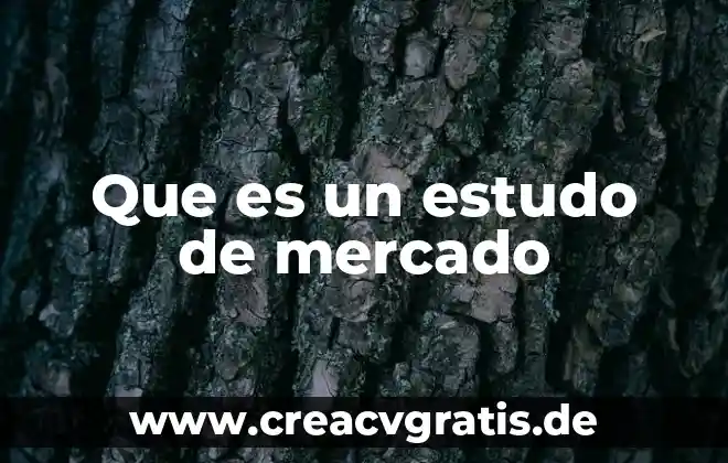 Que es el mercado de dinero mexicano 8 Que es un estudo de mercado