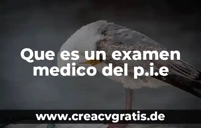 Qué es un examen psicométrico y quién lo hace 5 Que es un examen medico del p.i.e
