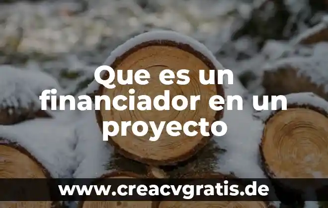 Que es proyecto y tipos de proyecto 4 Que es un financiador en un proyecto